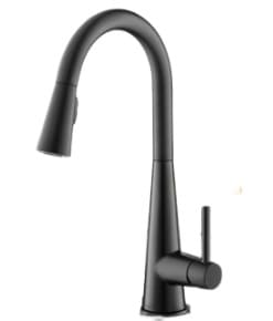 Vòi rửa bát Moen GNMCL7864BL