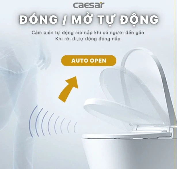 Bồn cầu 1 khối nắp điện tử Caesar C1391+TAF512H