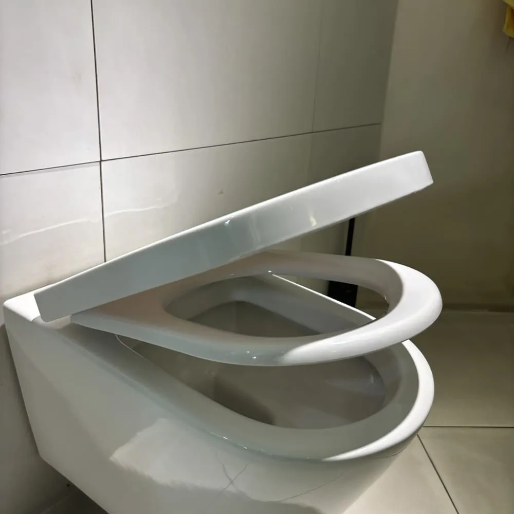 Nắp Êm Bàn Cầu Rơi Êm Caesar M244