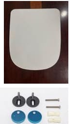 Nắp bệt đóng êm Luxbath NL-009