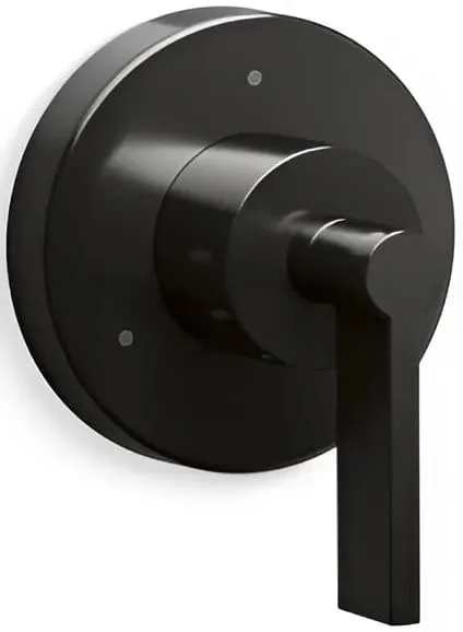 Mặt nạ chuyển đổi Kallista P24483-LV-PGP