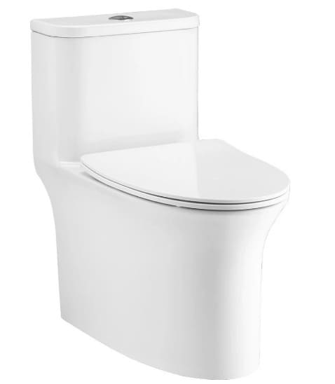 Bàn cầu 1 khối Cotto C11006H