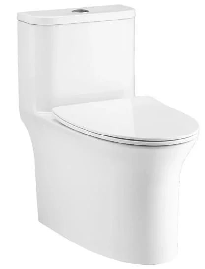 Bàn cầu 1 khối Cotto C11006HOS 