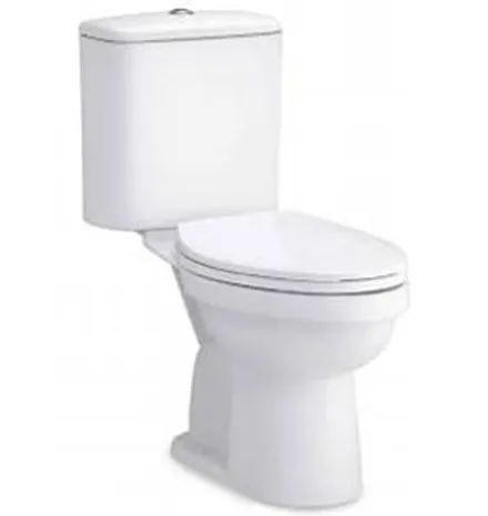 Bàn Cầu 2 Khối Xả Nhấn COTTO C1331