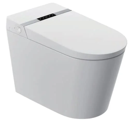 Bồn cầu tự rửa Aquatiz B15
