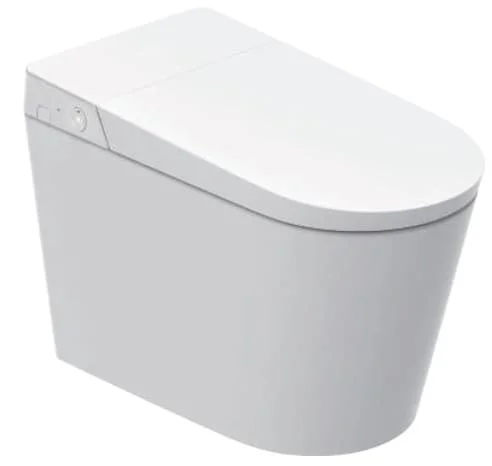 Bồn cầu vệ sinh tự rửa Aquatiz B19