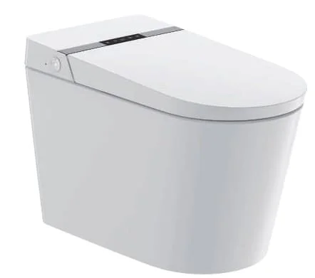 Bồn cầu vệ sinh tự rửa Aquatiz G15