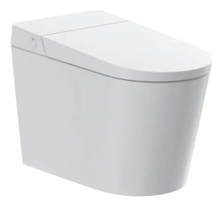 Bồn cầu vệ sinh tự rửa Aquatiz G19