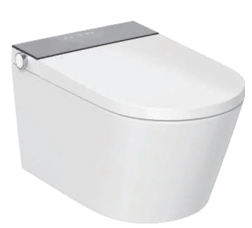 Bồn cầu âm tường tự rửa Aquatiz YA01