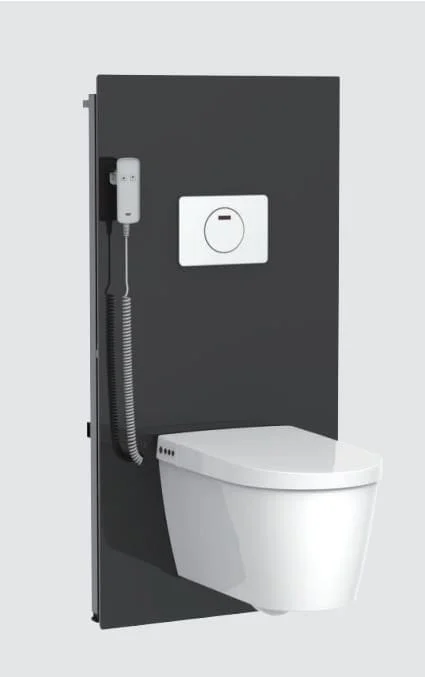 Bồn cầu âm tường tự rửa Aquatiz FZ2000+V7216
