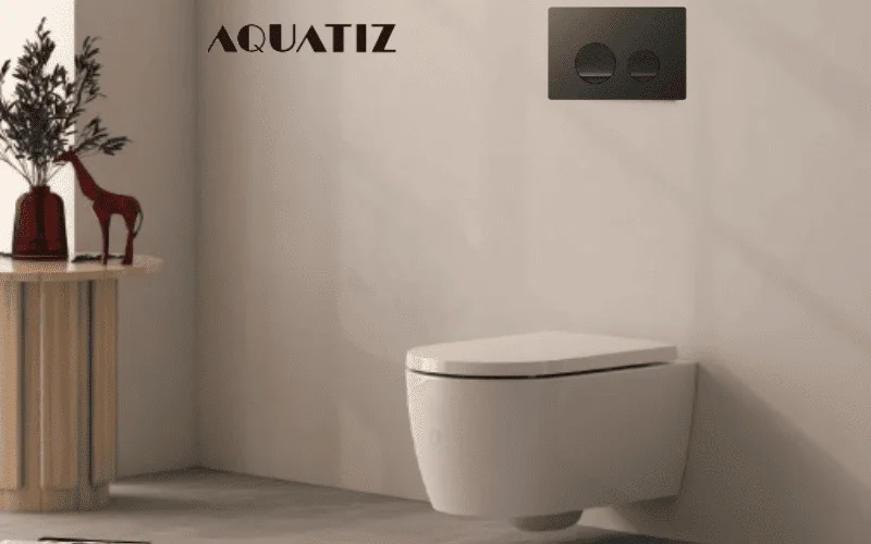 Mặt nạ xả nhấn bồn cầu âm tường Aquatiz G3004137B