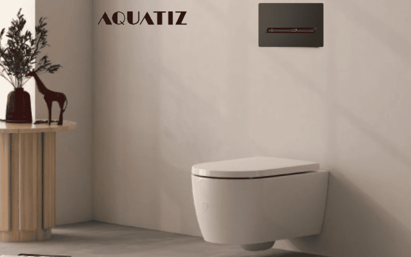 Mặt nạ xả nhấn bồn cầu âm tường Aquatiz G3004131B