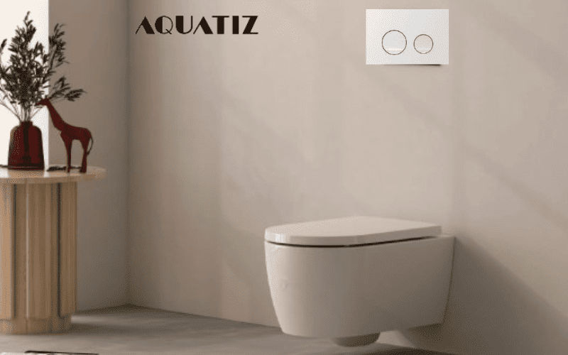Mặt nạ xả nhấn bồn cầu âm tường Aquatiz G3004137W