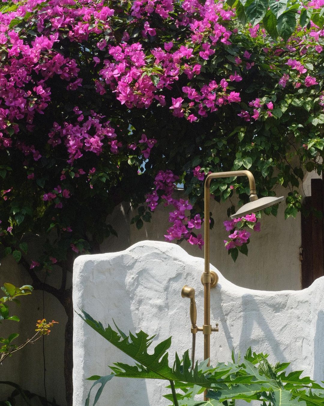 Sen tắm đứng Haduvico tại khách sạn, resort tại Yên Bài