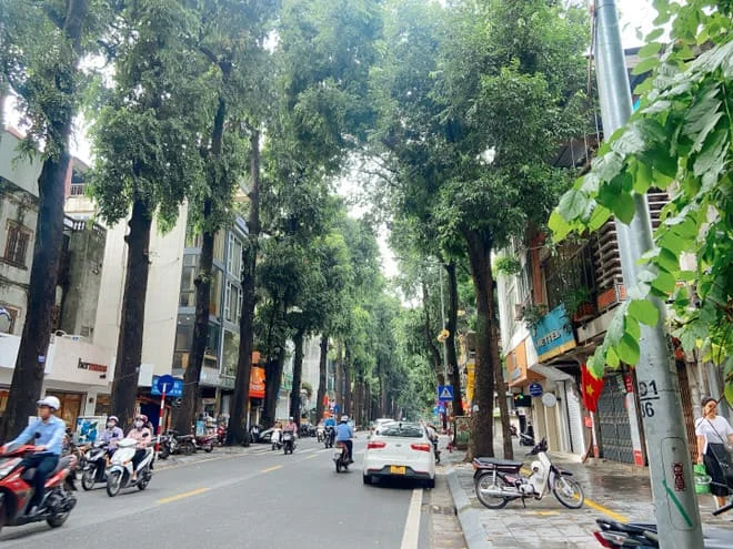Thiết bị vệ sinh TOTO tai Quận Hai Bà Trưng