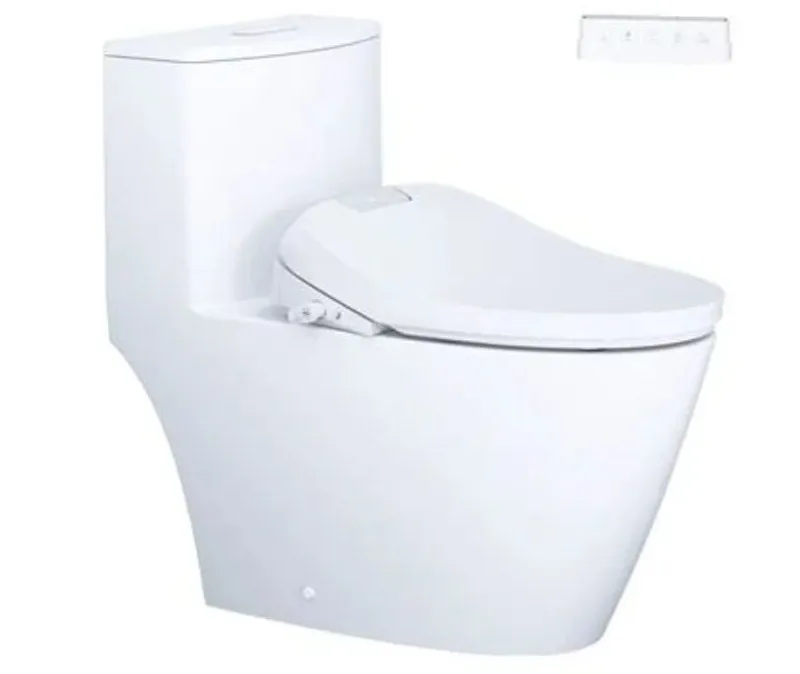 Bồn cầu 1 khối nắp điện tử Caesar C1363F+TAF610H