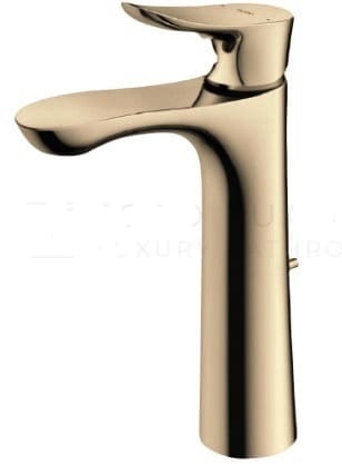 Vòi gật gù nóng lạnh TOTO TLG01304B#BFG