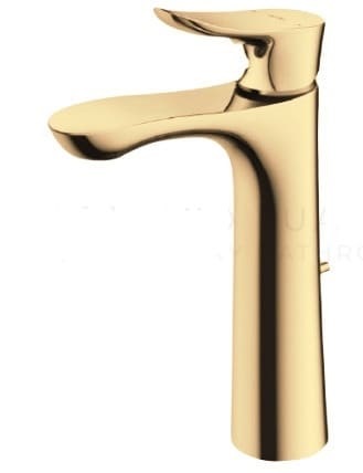 Vòi gật gù nóng lạnh TOTO TLG01304B#PFG