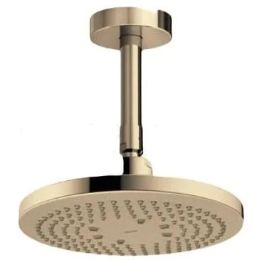 Bát sen gắn trần TOTO TBW01003B1A#PFG