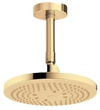 Bát sen gắn trần TOTO TBW01003B1A#PFG