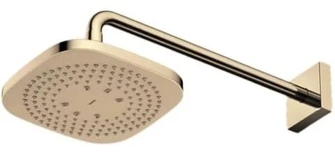 Bát Sen Gắn Tường TOTO TBW02003A#BFG