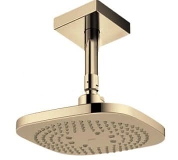 Bát sen gắn trần TOTO TBW02003B1A#BFG