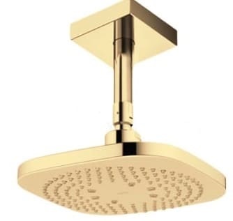 Bát sen gắn trần TOTO TBW02003B1A#PFG