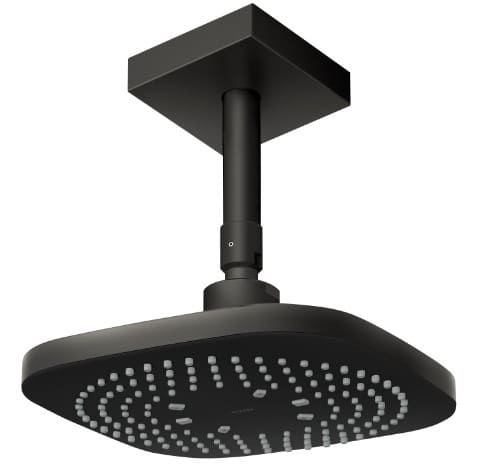 Bát sen gắn trần TOTO TBW02003B1B#MBL