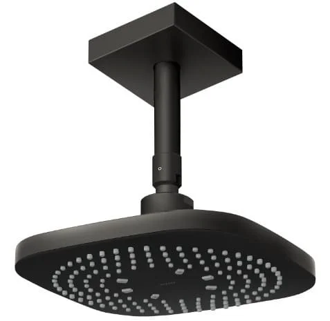 Bát sen gắn trần TOTO TBW02003B1B#MBL