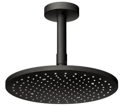 Bát sen gắn trần TOTO TBW07002A1#MBL
