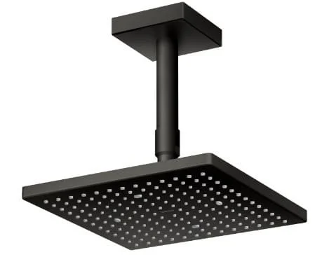 Bát sen gắn trần TOTO TBW08001A1#MBL