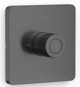 Nút Điều Chỉnh Thân Vòi Sen Màu Đen American Standard FFAS0927MB 