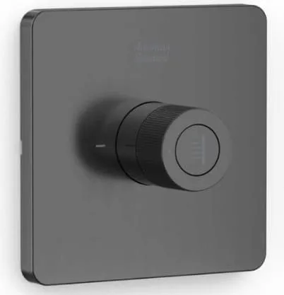 Nút Điều Chỉnh Thân Vòi Sen màu Xám American Standard FFAS0927BHG