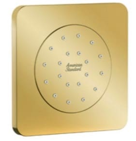 Đầu Sen Âm Tường Màu Vàng Bóng American Standard FFASS054CS 