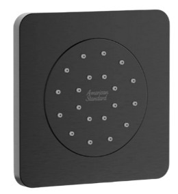 Đầu Sen Âm Tường Màu Xám Bóng American Standard FFASS054HG 