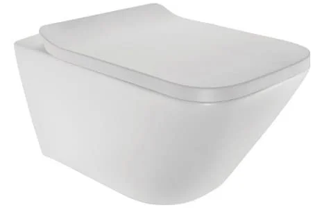 Bồn cầu treo tường không vành màu trắng mờ Jaquar LAS-WHM-91953BIUF
