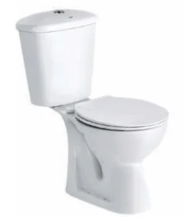 Bồn cầu 2 khối nắp rơi êm Ấn Độ Jaquar CNS-WHT-751S300SPPZY
