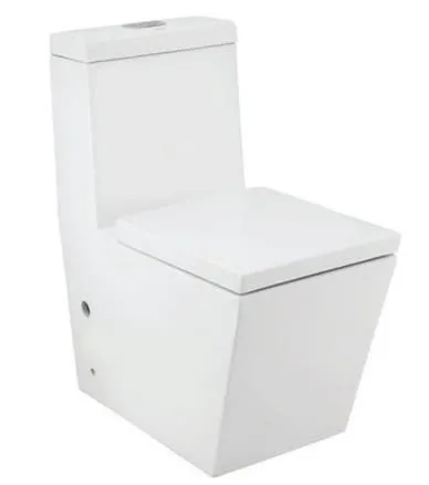 Bồn cầu 1 khối nắp êm Ấn Độ Jaquar KUS-WHT-35851S300UF