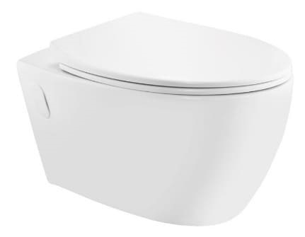 Bồn cầu treo tường không vành màu trắng mờ Jaquar VGS-WHT-81953UF