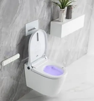 Bồn cầu 1 khối nắp rơi êm Clara CT-142ES