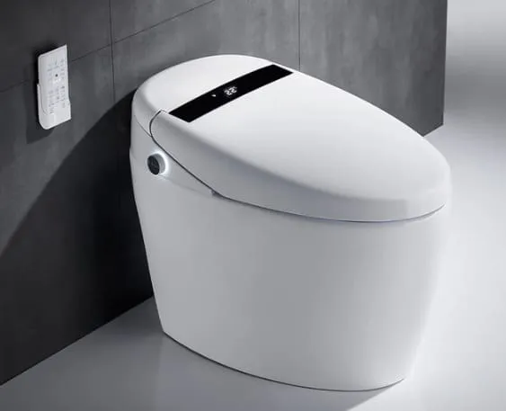 Bồn Cầu Thông Minh Selta BTM-393