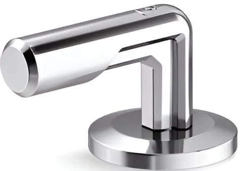 Tay gạt chuyển hướng nước Kallista P34580-CP-CP