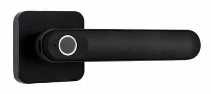 Bộ tay nắm cửa điện tử Esther Karat EAE-03-110-55