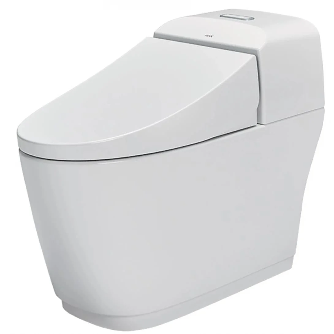 Bàn cầu 1 khối nắp rơi êm Inax AC-900VRN
