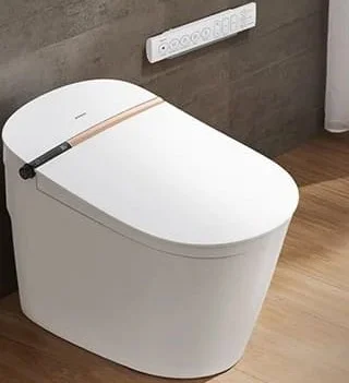Bồn cầu thông minh Jomoo ZD7400-S2-CJM305