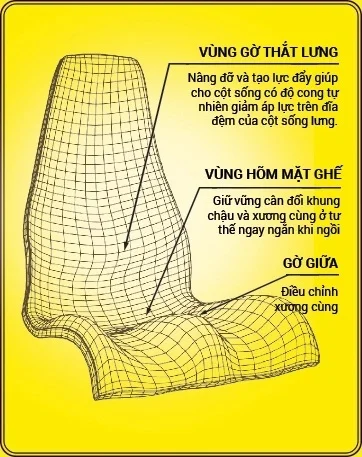 Ghế DoctorLoan đi nâuều chỉnh cột sống 