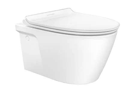 Bàn Cầu 1 Khối Nắp Rửa Cơ AMERICAN STANDARD VF-2010S