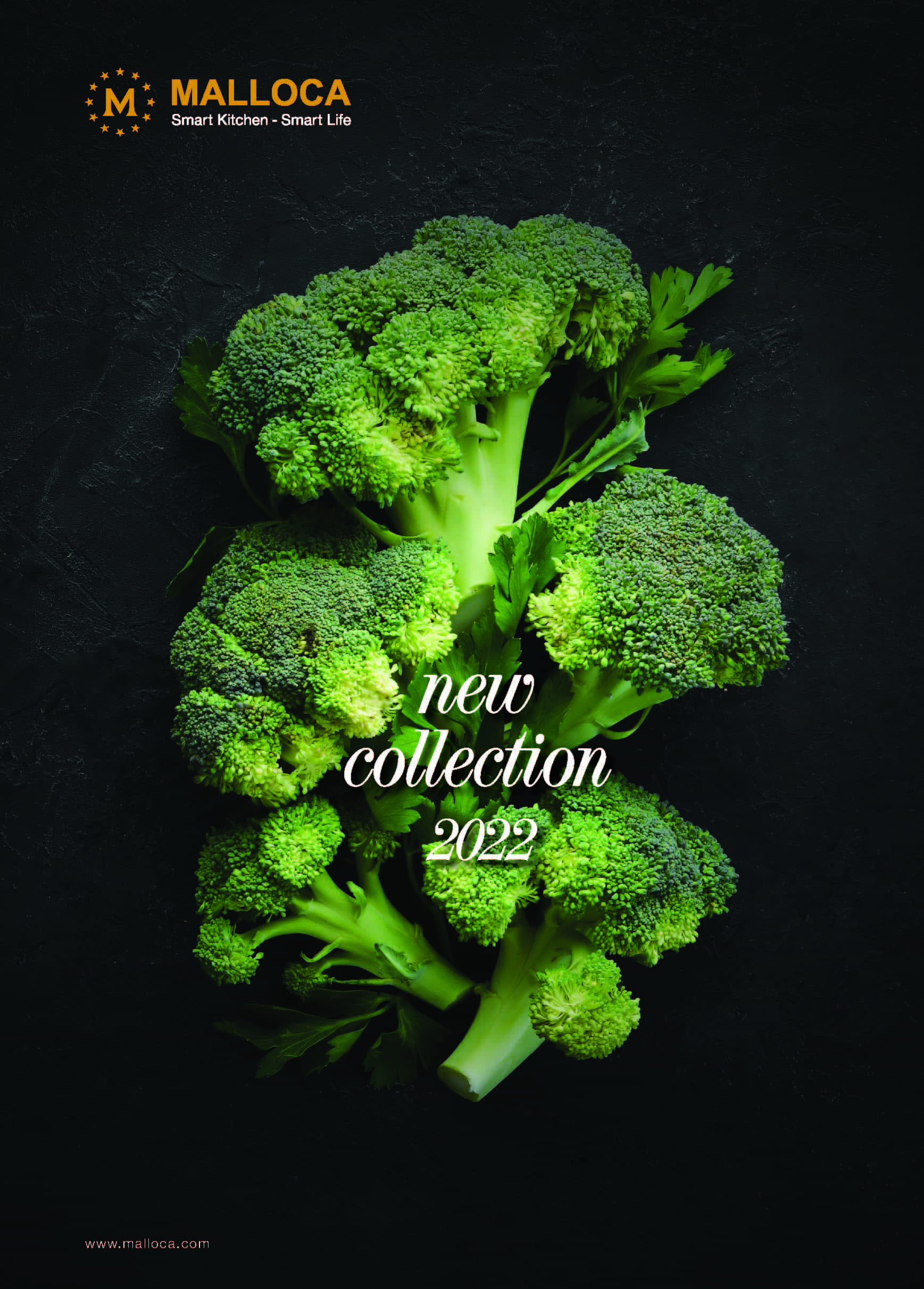 Ảnh bìa catalouge Malloca 2022
