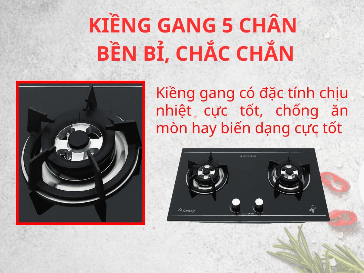 Bếp gas Canzy CZ-268