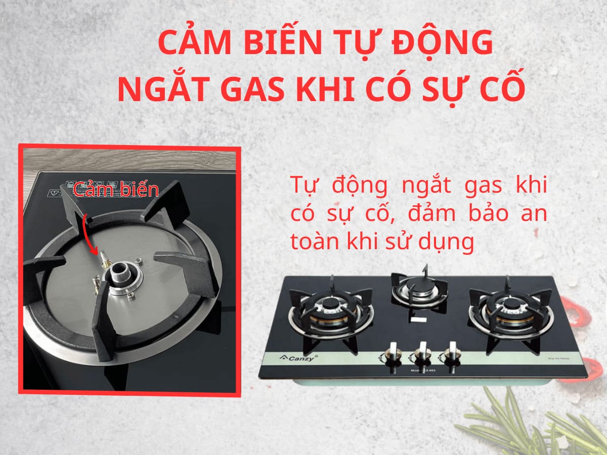 Bếp ga Canzy CZ-863-8